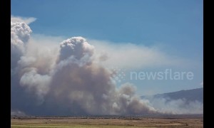 Hawaii evacuated as smoke rages in Maui brush fire