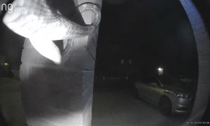 Smart Snake Wants Inside