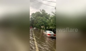 Cars left partially submerged on residential New Orleans street as Storm Barry hits