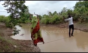 Indian villagers risk their lives by walking on rope above river to reach farmland