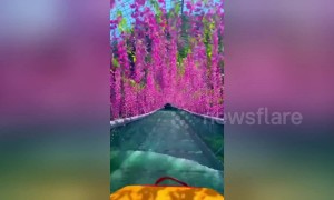 Glass water slide in China allows tourists to float down under beautiful hanging flowers