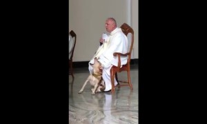 Lost dog crashes Sunday Mass, but Priest’s perfect reaction has millions cheering