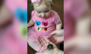 Hey, That's not a Snack!