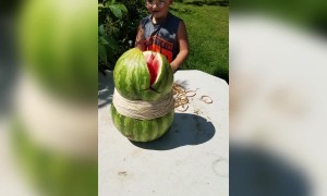 Crazy Watermelon Experiment Goes Wrong