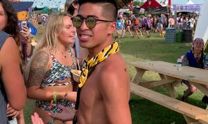 Bees Buzzing at Michigan Music Festival