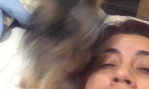 Doggo Excited to Be Awake