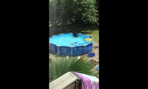 Connecticut mother catches black bear playing with toys in plastic pool