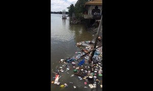 Four people missing and dozens injured after Thai temple collapses into river on first day of Buddhist Lent