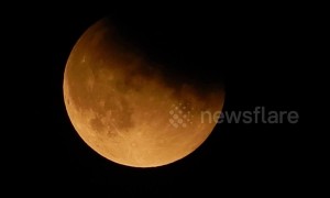 Apollo 11 moon landing anniversary sees partial lunar eclipse over London