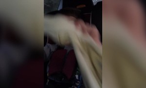 It's too Early for Christmas Songs!