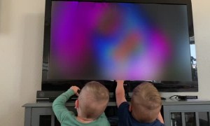Twins Think They Can Pause a TV like an iPad