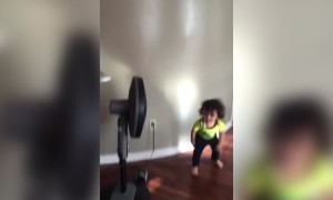 Boy Acts Like Model in Front of Fan