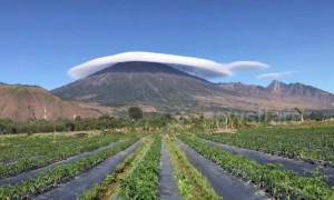 Spectacular moment long flat cloud blankets Indonesian volcano peak 'like a hat'