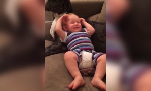 Baby and Great Dane are Best Buddies