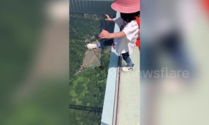 Don't look down! Fearless girl steps onto 260-metre-high glass walkway in China's Zhangjiajie