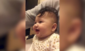 Baby is Delighted by Cardboard Box