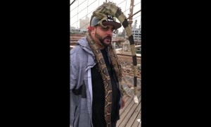NYC man has an IGUANA for a hat and a SNAKE for a scarf