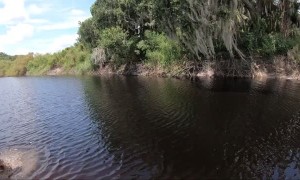 Jet Skiing Through Gator Country