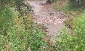 Flash Flood Fills Creek