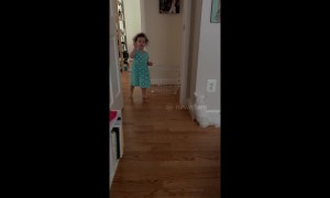 Tiny girl goes Simon Cowell and cuts off mother's singing by waving goodbye