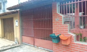 Spoiling a Small Dogs Big Escape Plans