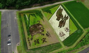 Japan rice paddy art celebrates new imperial era of Reiwa