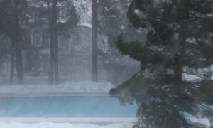 Swimming in a Snowstorm