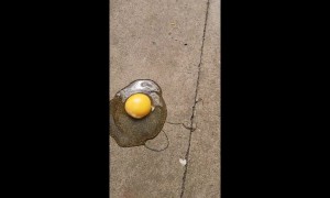 What an eggcellent way to cook during the UK heatwave! Egg fried on boiling pavement