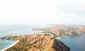 Indonesia's Komodo island set to shut in 2020 in bid to protect world's largest lizard
