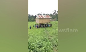Community effort! Filipino villagers help neighbour carry house to new location