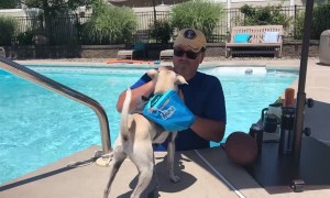 Four Legged Beverage Delivery