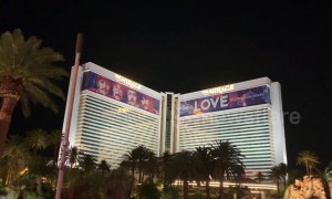 Enormous grasshoppers invade Las Vegas strip