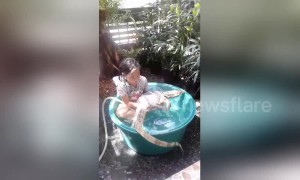 Little girl enjoys bath with pet lizard at Thai home