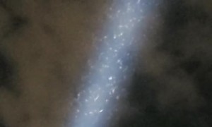 Grasshoppers Swarm Las Vegas Lights