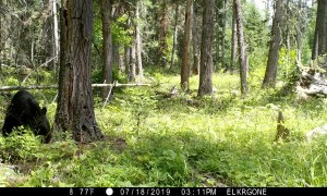 Hard Work for a Small Snack