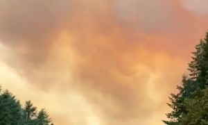 Wildfire Smoke Eerily Fills Sky