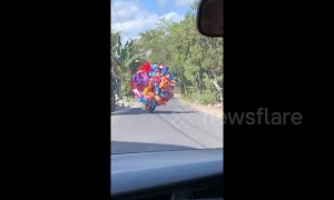 Real-life Up? Balloon man on motorbike struggles not to get blown away by wind