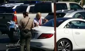 Woman Arrested After Leaving Her Dog in Car