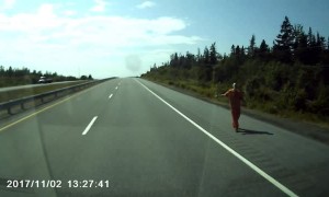 Hazardous Hitchhiker on the Highway