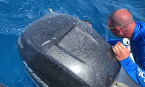 Determined Fisherman Dives for Catch