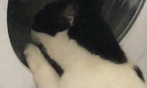 Weird Water Won't Quench Thirst