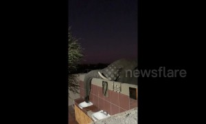 'Thirsty' elephant caught opening tap to drink water from sink in Botswana camp