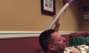 Sword Swallow Swindle