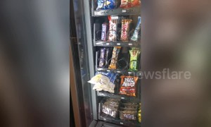 London office workers go crazy for epic vending machine win!
