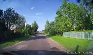 Geese Take Girl to the Ground