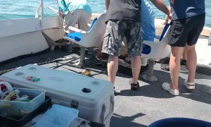 Shark Bites Dude on Boat Deck