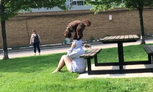 The Dog Version of a Headstand