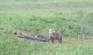 Curious Cub Startles Sleeping Men