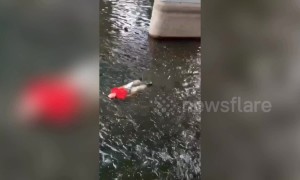 Elderly Chinese man floats down a river on his back frightening onlookers