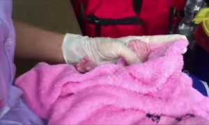 Call the midwife! Baby born with a dozen fingers and toes on Thai roadside